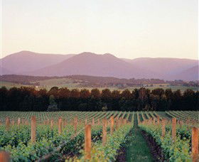Domaine Chandon - Mackay Tourism 0