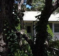 Melaleuca Gallery - Mackay Tourism