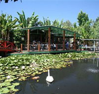 Blue Lotus Water Garden - Mackay Tourism