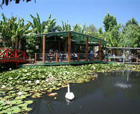Blue Lotus Water Garden - Mackay Tourism 0