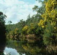Warrandyte State Park - Mackay Tourism
