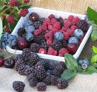 Bright Berry Farms - Mackay Tourism