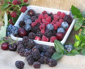 Bright Berry Farms - Mackay Tourism 0