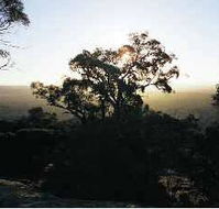 Yarra Flats - Mackay Tourism
