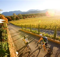 Boyntons Feathertop Winery - Mackay Tourism