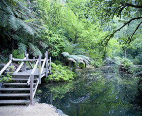 Alfred Nicholas Gardens - Mackay Tourism 0