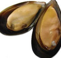 Sea Bounty - Mackay Tourism