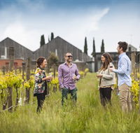 Willow Creek Vineyard - Mackay Tourism