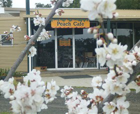 Rayner's Orchard - Mackay Tourism 0