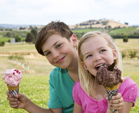 Yarra Valley Chocolaterie & Ice Creamery - Mackay Tourism 6