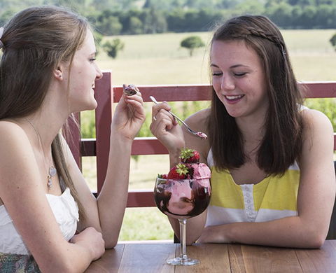 Yarra Valley Chocolaterie & Ice Creamery - Mackay Tourism 8