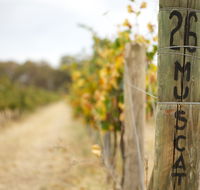 Stanton and Killeen Wines - Mackay Tourism