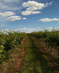 Chambers Rosewood Winery - Mackay Tourism 0