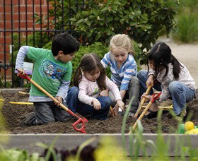 The Ian Potter Foundation Children's Garden - Mackay Tourism 0