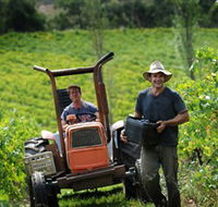 Kellybrook Winery  Kelly Brothers Cider - Mackay Tourism