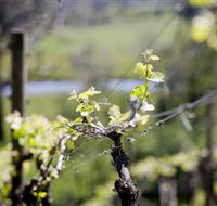 Coldstream Hills - Mackay Tourism