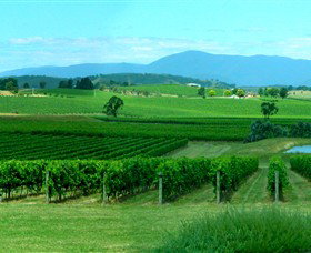 Acacia Ridge Vineyard - Mackay Tourism 0