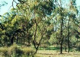 Fairley VIC Mackay Tourism
