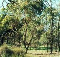 Leaghur State Park - Mackay Tourism