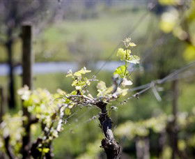 Lindemans Karadoc Winery - Mackay Tourism 0