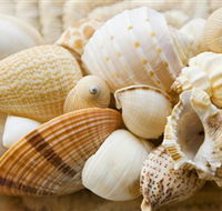 Anglesea Beach Club - Mackay Tourism