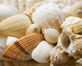 Anglesea Beach Club - Mackay Tourism 0
