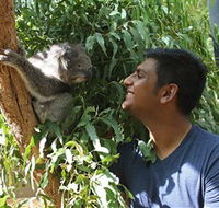 Healesville Sanctuary - Mackay Tourism