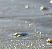 Cape Liptrap Coastal Park - Mackay Tourism