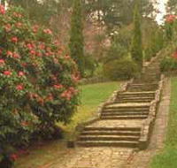 Maroondah Reservoir Park - Mackay Tourism