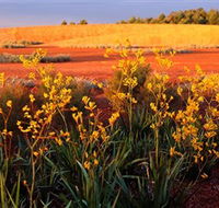 Royal Botanic Gardens Victoria Cranbourne - Mackay Tourism