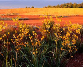 Royal Botanic Gardens Victoria Cranbourne - Mackay Tourism 0