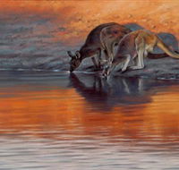 Steve Morvell Wildlife Art - Mackay Tourism