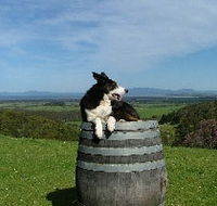 Windy Ridge Vineyard and Winery - Mackay Tourism