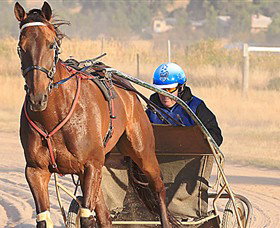 Ballarat & District Trotting Club - Mackay Tourism 0