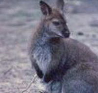 Churchill National Park - Mackay Tourism