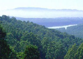 Kalorama Park - Mackay Tourism 0