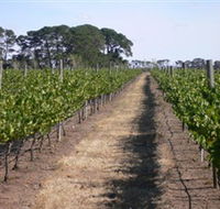 Mount Beckworth Wines - Mackay Tourism