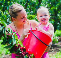 Cherryhill Orchards - Mackay Tourism