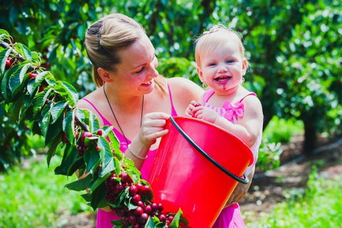 Cherryhill Orchards - Mackay Tourism 0