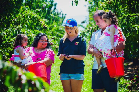 Cherryhill Orchards - Mackay Tourism 1