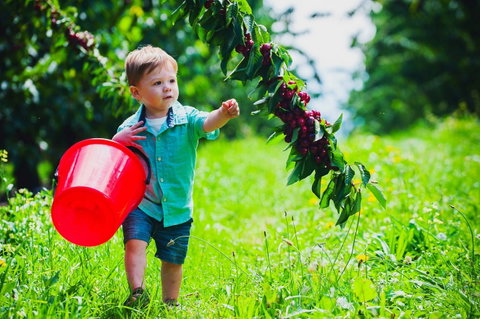 Cherryhill Orchards - Mackay Tourism 2