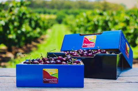 Cherryhill Orchards - Mackay Tourism 3