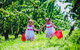 Cherryhill Orchards - thumb 6