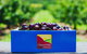 Cherryhill Orchards - thumb 8