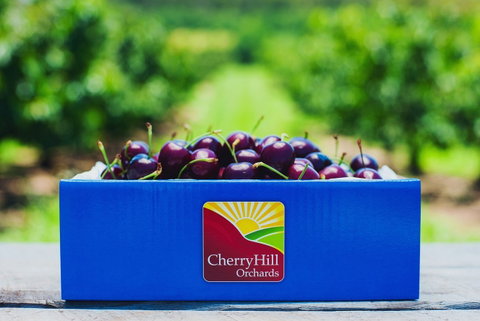 Cherryhill Orchards - Mackay Tourism 8