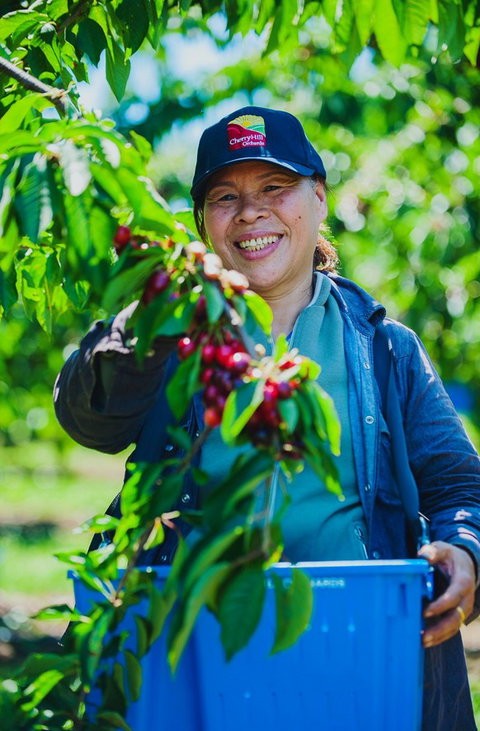 Cherryhill Orchards - Mackay Tourism 11