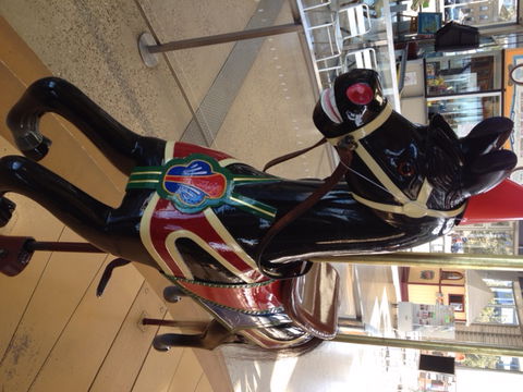 The Carousel - Mackay Tourism 4