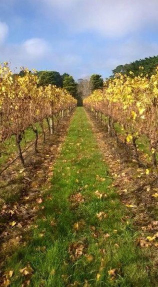 Dromana Estate - Mackay Tourism 11