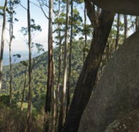 Gulaga National Park - Mackay Tourism
