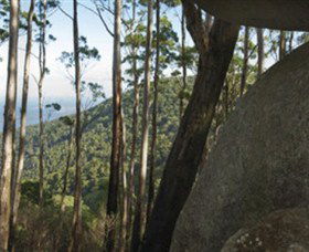 Gulaga National Park - Mackay Tourism 0
